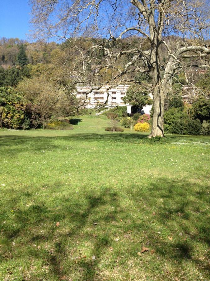 Casa Del Lago Maggiore Lesa Apartman Kültér fotó